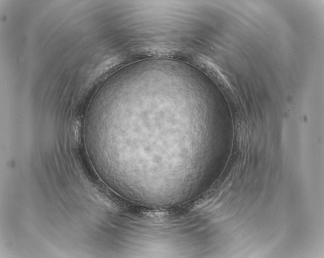 X0000087350071200705111630