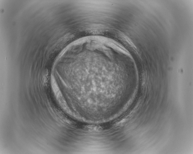 X0000087350073200705111630