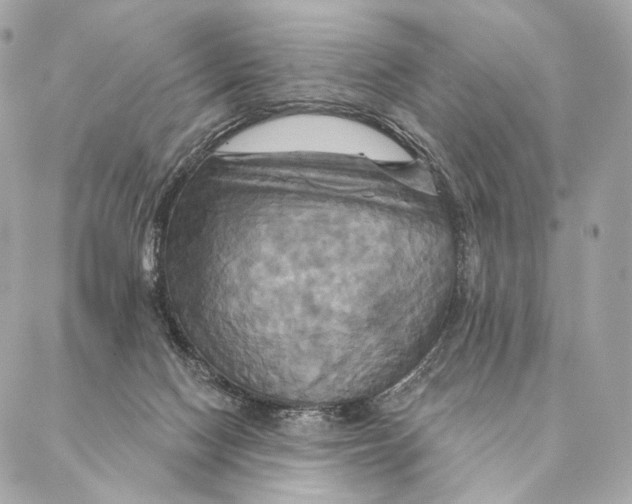 X0000087350074200705111630