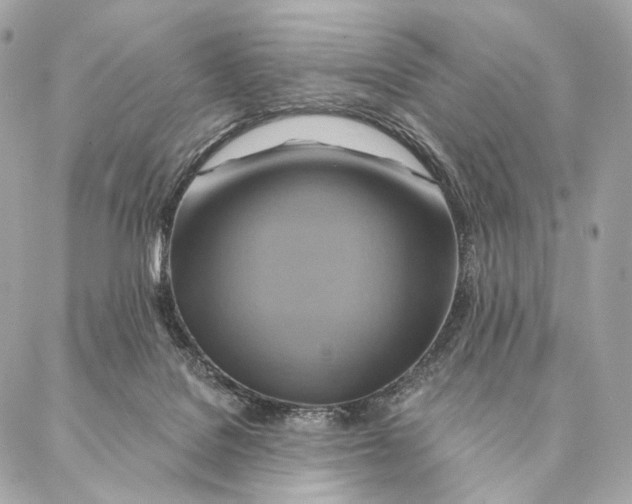 X0000087350076200705111630