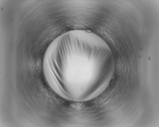 X0000087350079200705111630