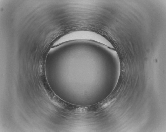 X0000087350080200705111630