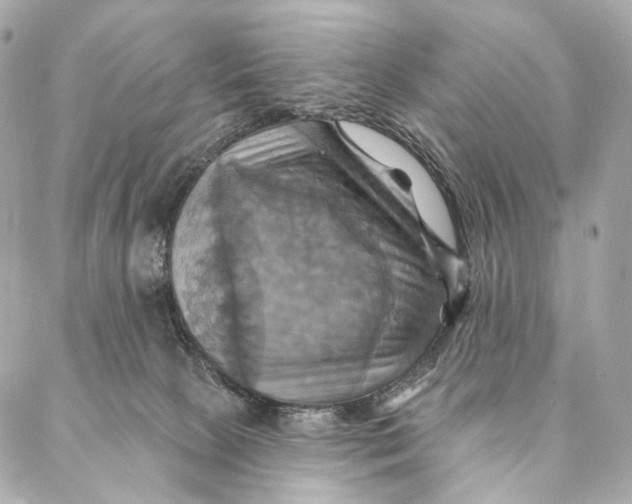 X0000087350081200705111630
