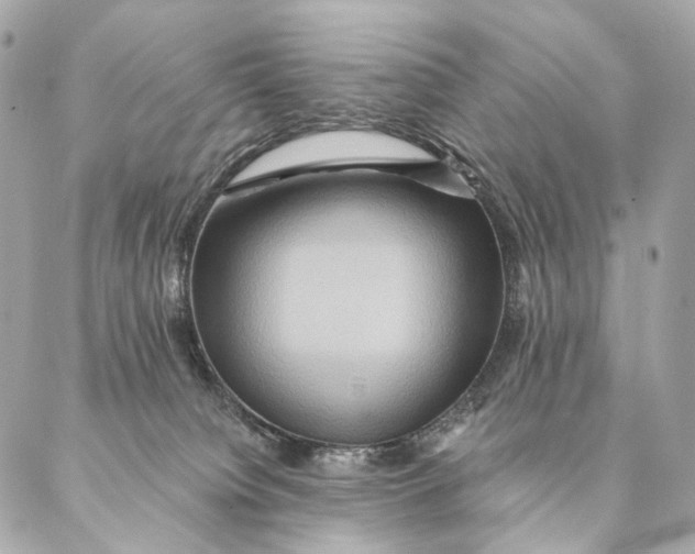 X0000087350084200705111630