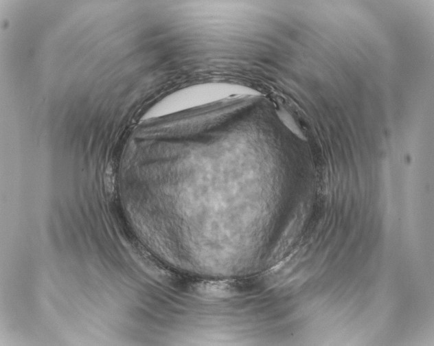 X0000087350086200705111630