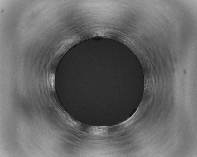 X0000087350094200705111631