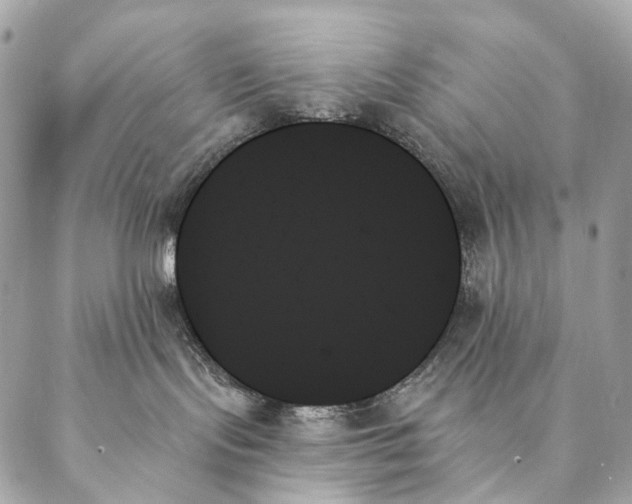 X0000087350095200705111631