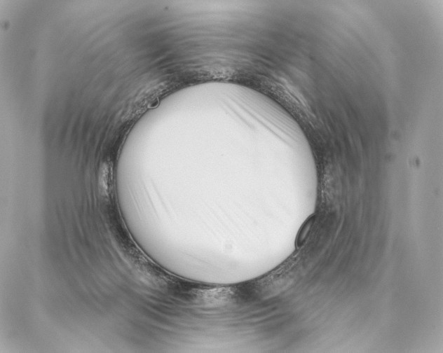 X0000087350122200705111629