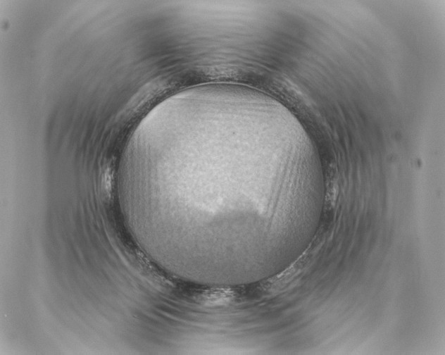 X0000087350124200705111629