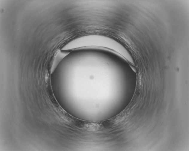 X0000087350125200705111629