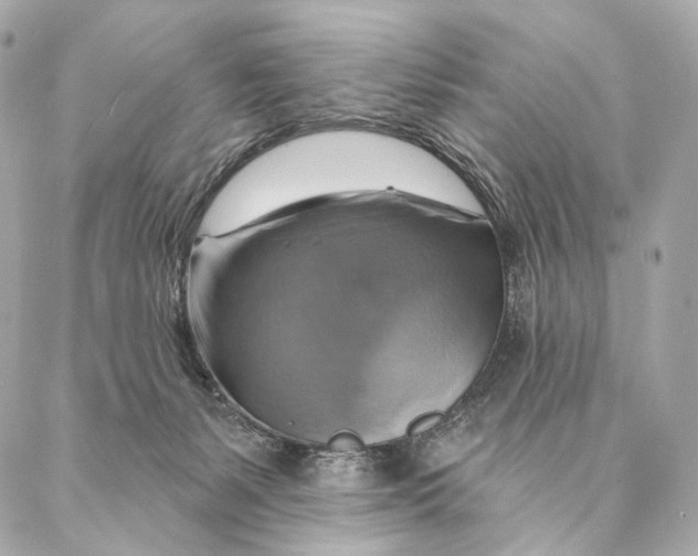 X0000087350127200705111629