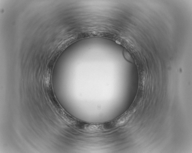 X0000087350129200705111629