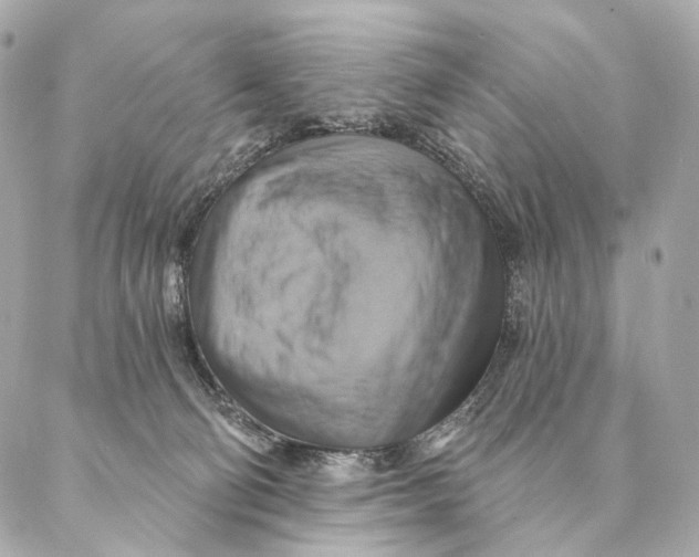 X0000087350130200705111629