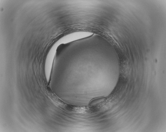 X0000087350131200705111629