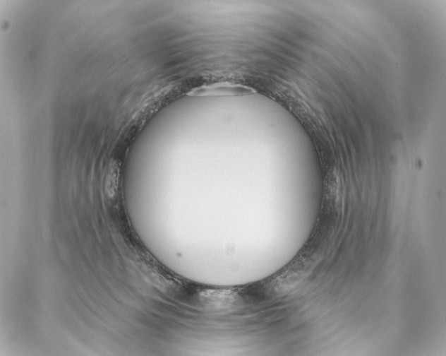 X0000087350133200705111629