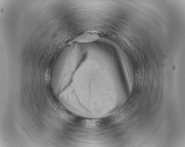 X0000087350134200705111629