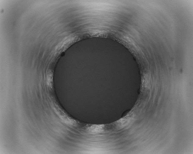 X0000087350138200705111629