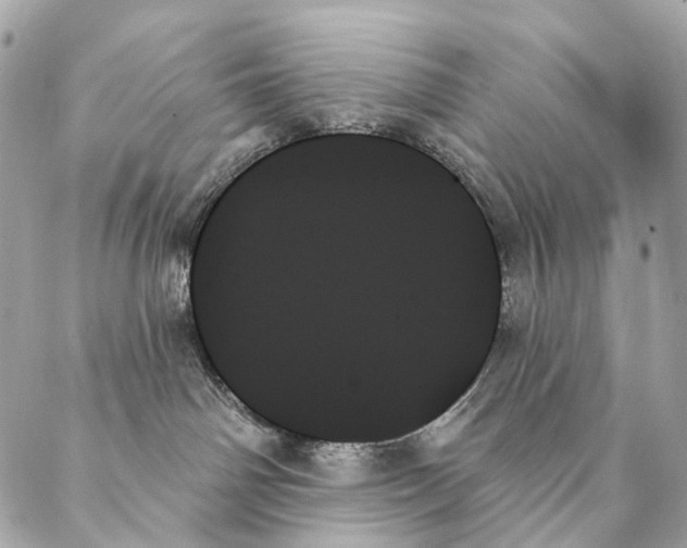X0000087350142200705111629