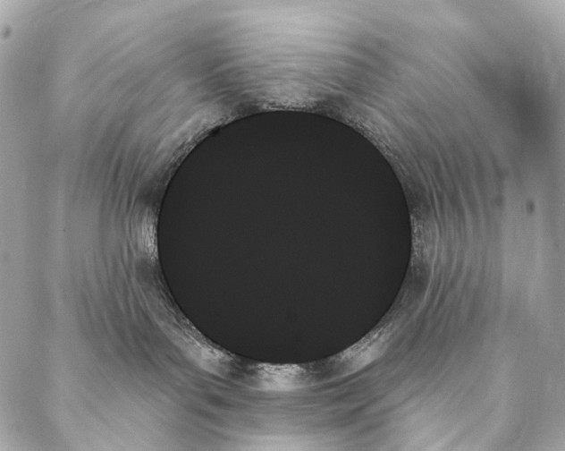 X0000087350143200705111629