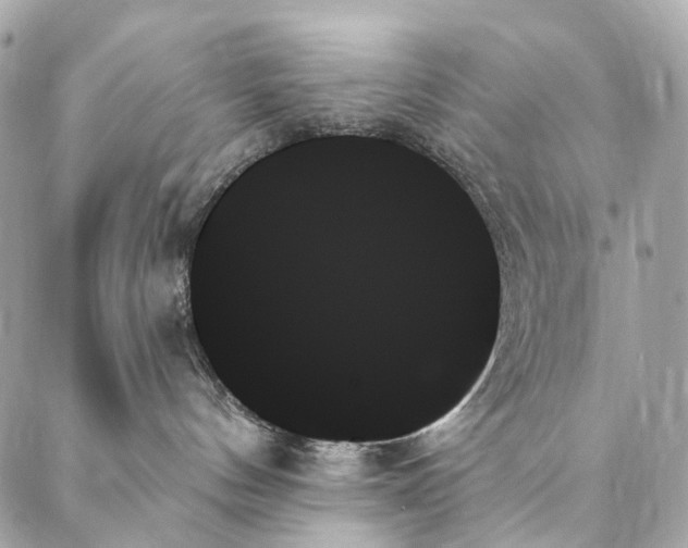 X0000087350144200705111629