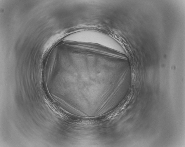 X0000087350149200705111628