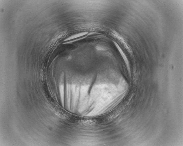 X0000087350161200705111629