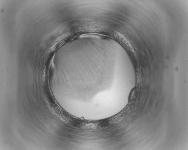 X0000087350163200705111629