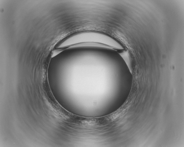 X0000087350164200705111629