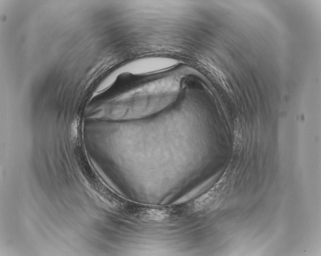 X0000087350166200705111629
