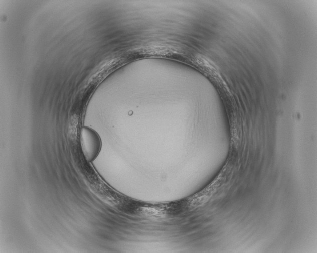 X0000087350167200705111629