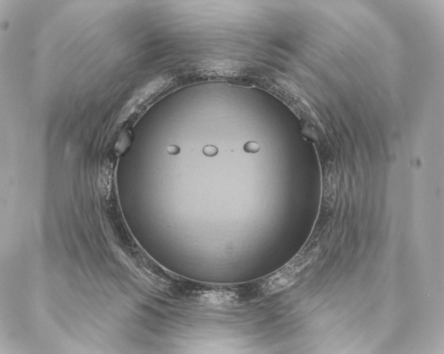 X0000087350168200705111629