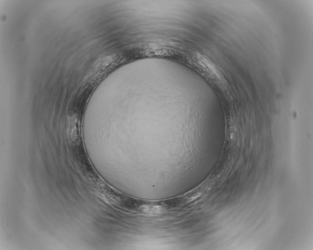 X0000087350169200705111629
