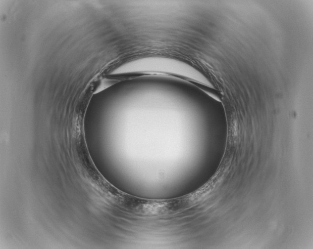 X0000087350172200705111629
