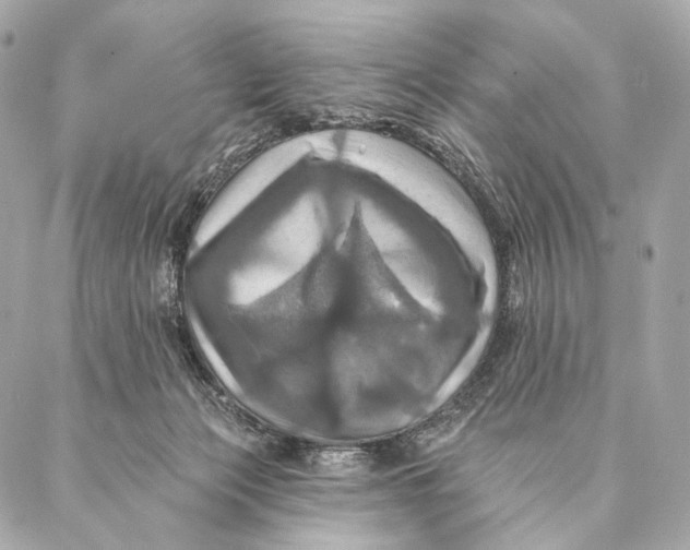 X0000087350173200705111629
