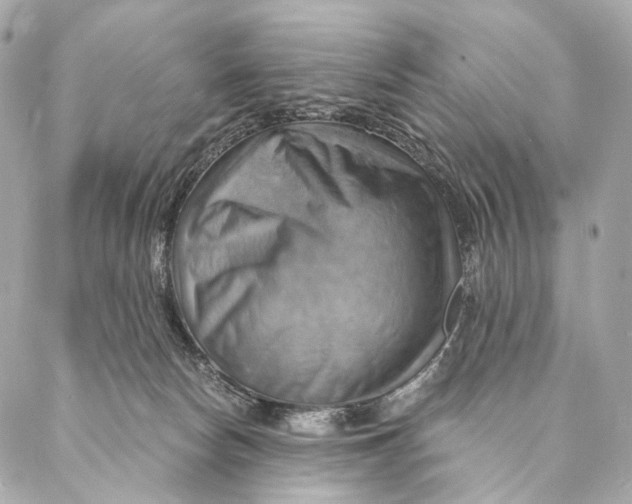 X0000087350178200705111629
