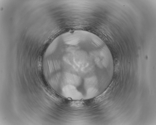 X0000087350179200705111629