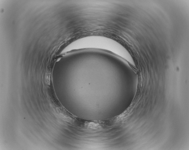 X0000087350180200705111629