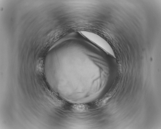 X0000087350181200705111629