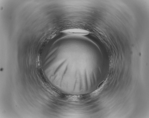 X0000087350182200705111629