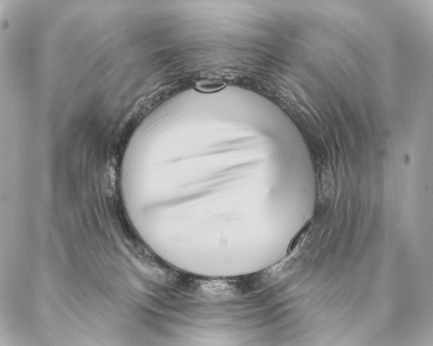 X0000087350183200705111629