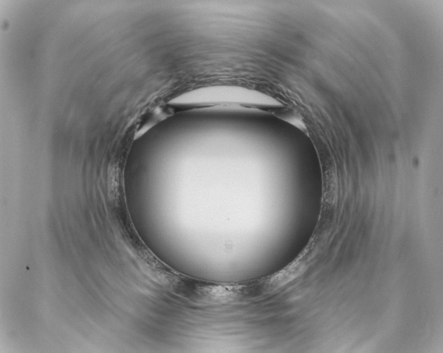 X0000087350184200705111629