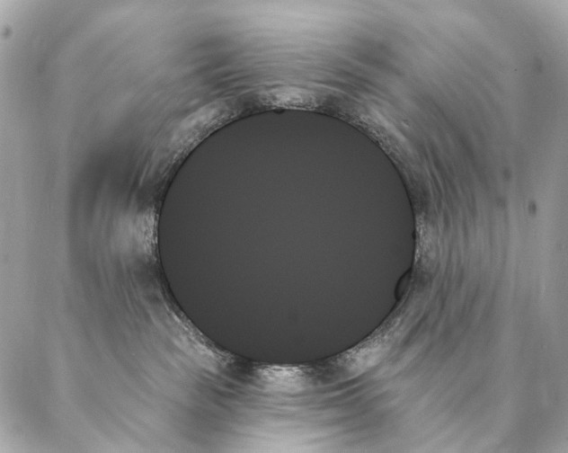 X0000087350189200705111629