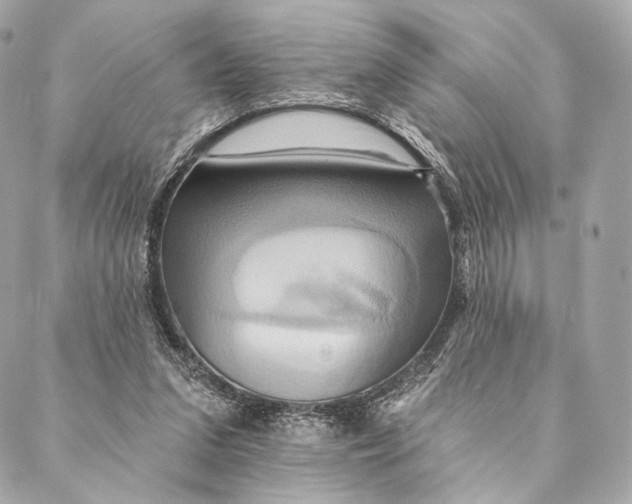 X0000087350207200705111628