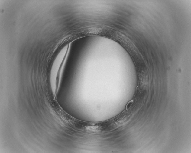 X0000087350216200705111628