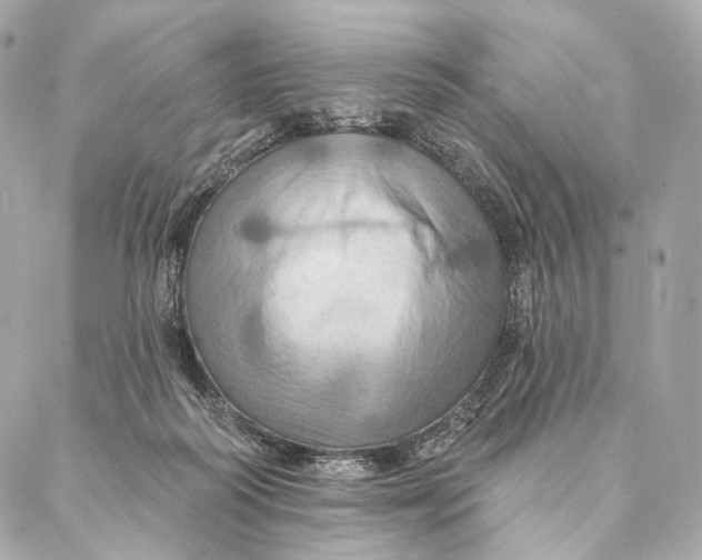 X0000087350218200705111628