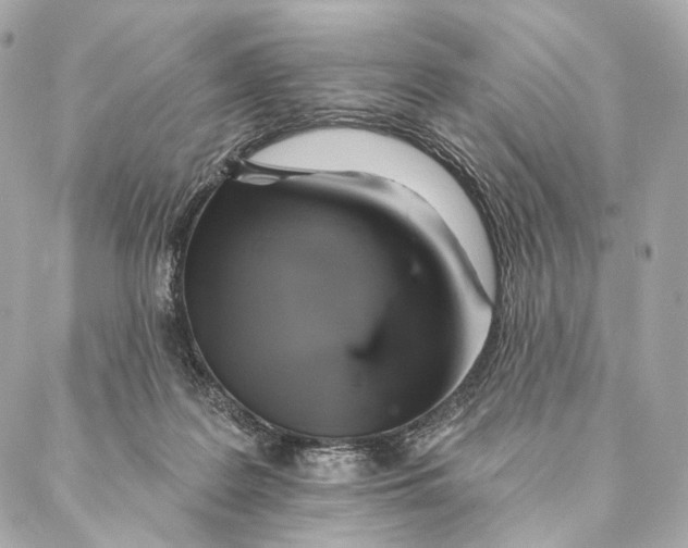 X0000087350219200705111628