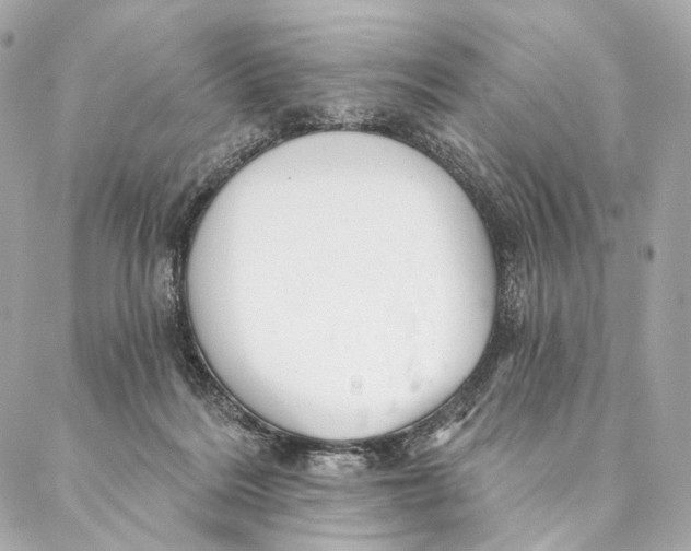 X0000087350220200705111628