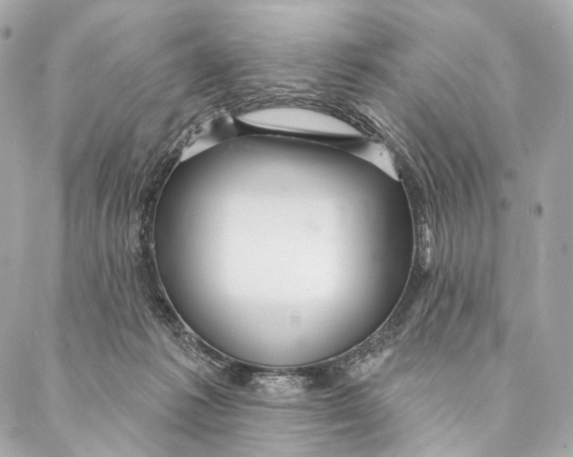 X0000087350221200705111628