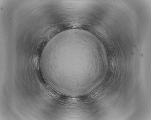X0000087350222200705111628