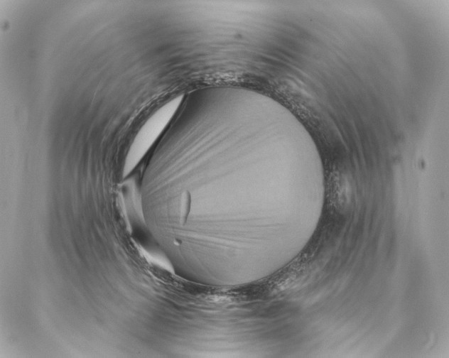 X0000087350224200705111628